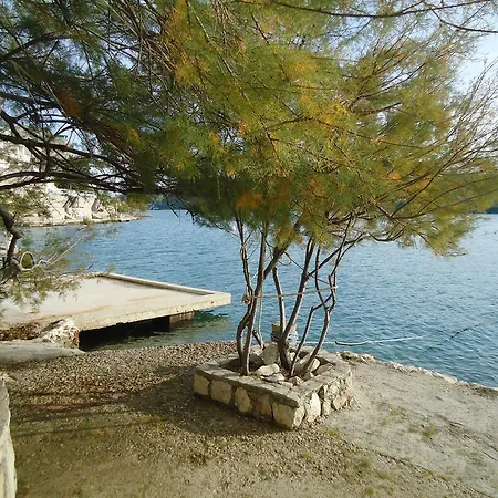 Apartament Cytrus *