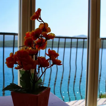 Cytrus Apartament Neum