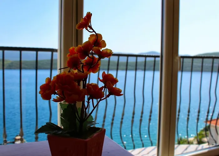 Cytrus Apartmán Neum